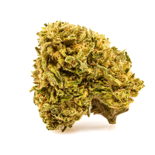 MELON KUSH à partir de 5G