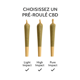 PRÉ-ROULÉ à l'unité