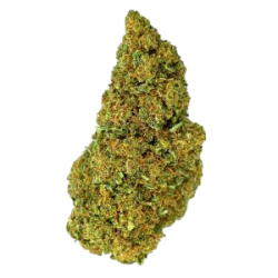 Bruce Banner CBD 20% | Fleurs Premium | High Impact CBD