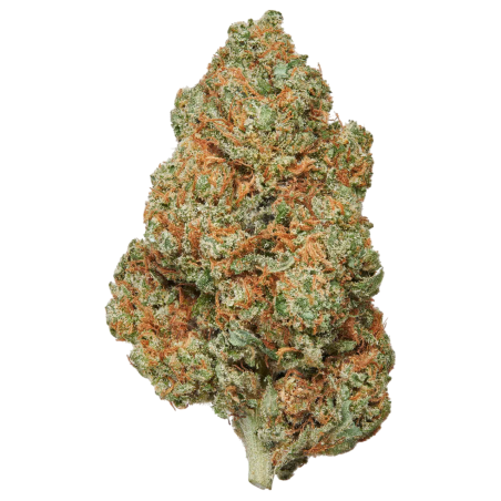 Harlequin CBD 20% | Fleurs Premium | High Impact CBD