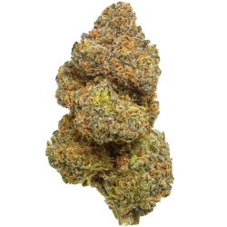 Blue Zushi THX+ 23% | Fleur premium | High Impact CBD