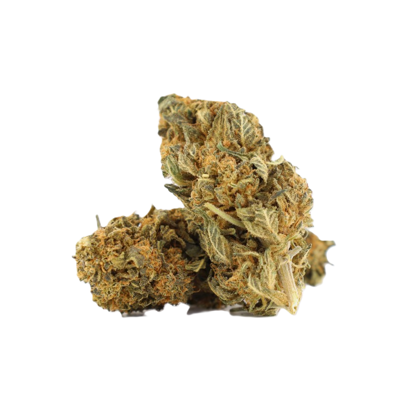 Sugar Cream 10-OH+ | Fleur gourmande | High Impact CBD