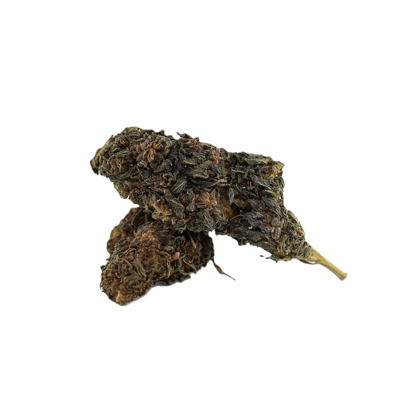Chocolata Skunk 10-OH+ | Fleur premium | High Impact CBD