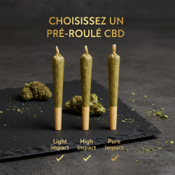 Pré-roulé à l'unité | Pré-roulé CBD | High Impact CBD