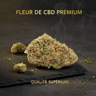 MELON KUSH à partir de 5G