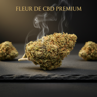 LEMON CHEESE à partir de 5G