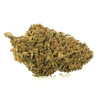 LEMON CHEESE à partir de 5G