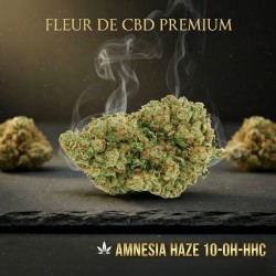 Amnesia Haze 10-OH+ | Fleur premium | High Impact CBD