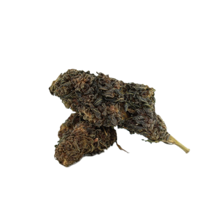 CHOCOLATA SKUNK 10-OH+ à partir de 2G