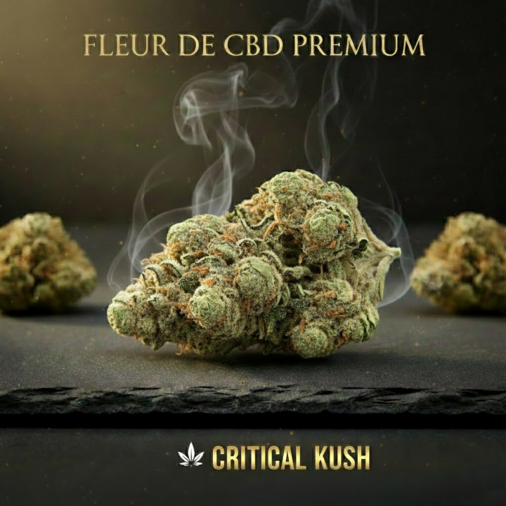 CRITICAL KUSH 10-OH+ à partir de 2G