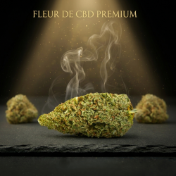 Gelato CBD | Fleur CBD gourmande | High Impact CBD