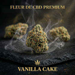 Vanilla Cake CBD | Fleur gourmande | High Impact CBD