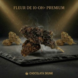 Chocolata Skunk 10-OH+ | Fleur premium | High Impact CBD
