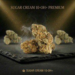 Sugar Cream 10-OH+ | Fleur gourmande | High Impact CBD