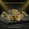 Sugar Cream 10-OH+ | Fleur gourmande | High Impact CBD