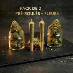 Pack Découverte Pré-roulés | High Impact CBD