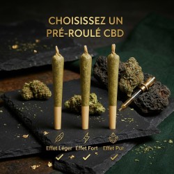 Pré-roulé à l'unité | Pré-roulé CBD | High Impact CBD