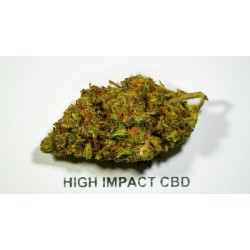 Critical Kush 10-OH+ | Fleur premium | High Impact CBD
