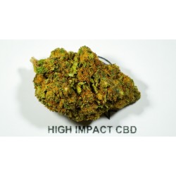 Gelato CBD | Fleur CBD gourmande | High Impact CBD