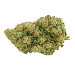 Amnesia Haze 10-OH+ | Fleur premium | High Impact CBD