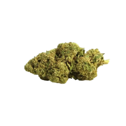 Amnesia Haze 10-OH+ | Fleur premium | High Impact CBD