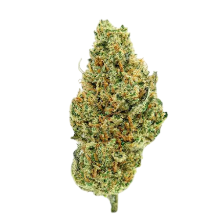 Critical Kush 10-OH+ | Fleur premium | High Impact CBD