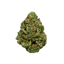 Gorilla Glue 10-OH+ | Fleur puissante | High Impact CBD