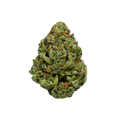 Gorilla Glue 10-OH+ | Fleur puissante | High Impact CBD