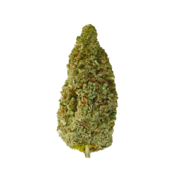 Gelato CBD | Fleur CBD gourmande | High Impact CBD