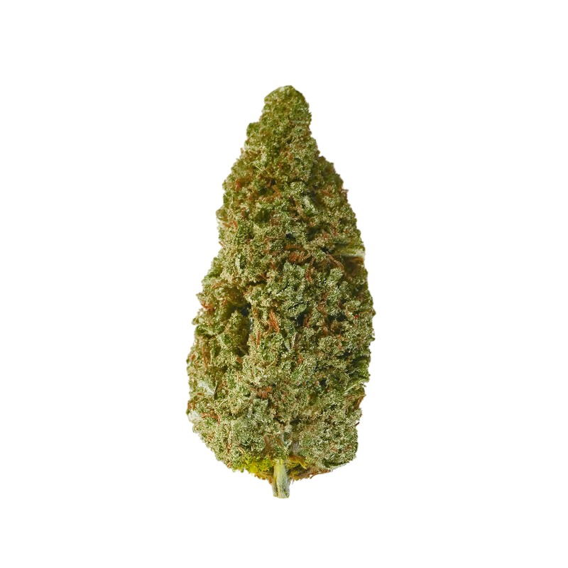 Gelato CBD | Fleur CBD gourmande | High Impact CBD